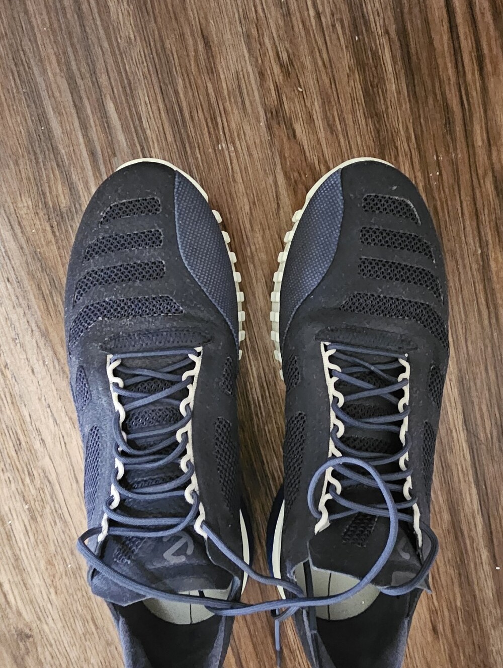 Mens ECCO Sneakers